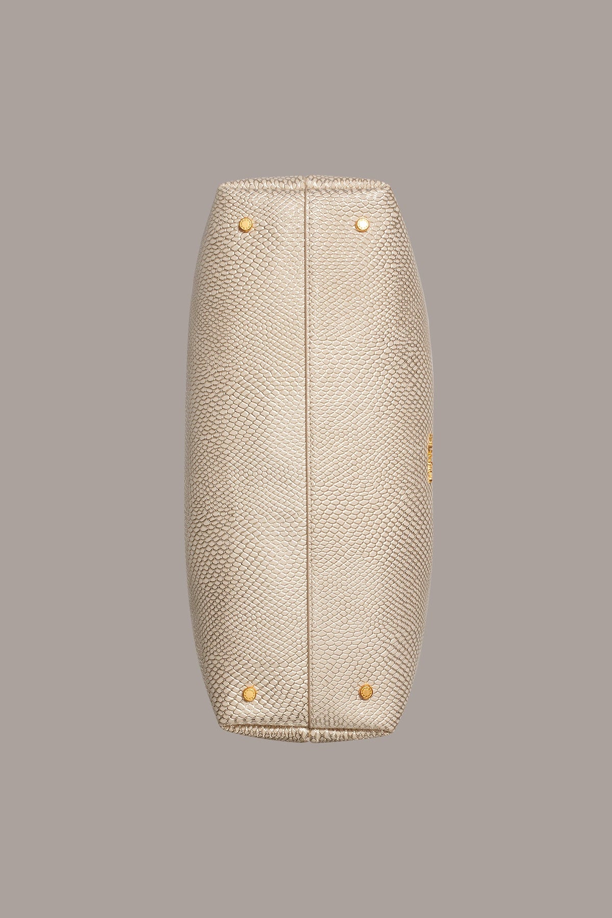 Donna Karan CAMBRIC SNAKE TOTE